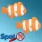 Spot it game!