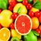 Fresh Orange Fruit Merchant