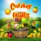 Fruits Catcher Mania
