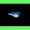 Classic Helicopter Game Mobile