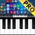 Portable ORG PRO