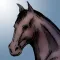 Horse Name Generator