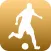 TableSoccer Fever