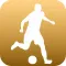 TableSoccer Fever