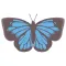 Pop and chic butterfly sticker
