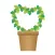 Cute foliage plant