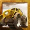 Action-Packed Super Off-Road Mini Car Racing Game - Not for Bike Rider!!