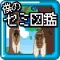 僕のセミ図鑑 - 夏休みにぴったり！シンプル簡単暇つぶしゲーム