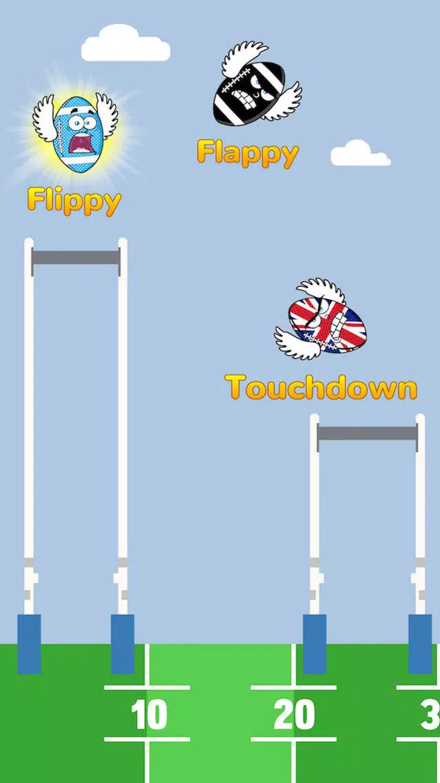 تصاویر Flippy Flappy Touchdown