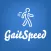 Gait Speed