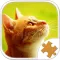 Cat Kitten Kitty Pet Jigsaw Puzzle Sliding Game