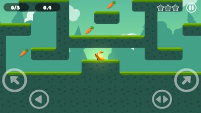 !!! Crazy Rabbit Run Escape Game Free Screenshots