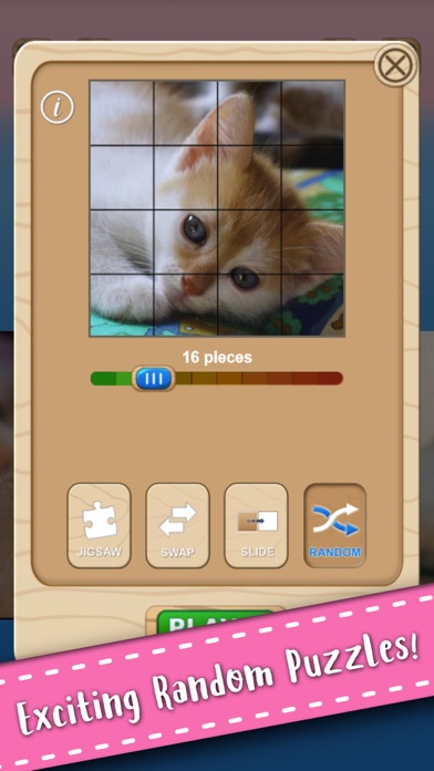 Cute Kitten Cat Jigsaw Puzzle Screenshots