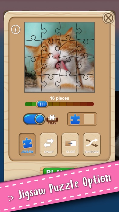 Cute Kitten Cat Jigsaw Puzzle Screenshots