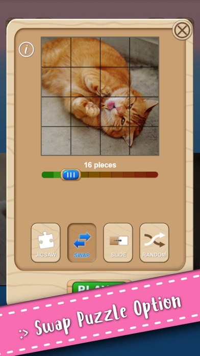 Cute Kitten Cat Jigsaw Puzzle Screenshots