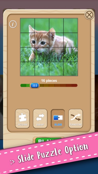 Cute Kitten Cat Jigsaw Puzzle Screenshots