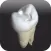 CavSim : Dental Cavity Preps
