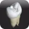 CavSim : Dental Cavity Preps