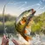 My Fishing Tour