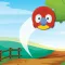 Learn With Bouncy Animals