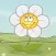 Flowers Need Water