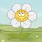 Flowers Need Water