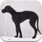 Fun Puppy Dog Game for Toddler