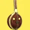 Carnatic Singer