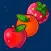 Fruits Skewer