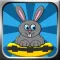Saving Bunnies -Rescue Mission