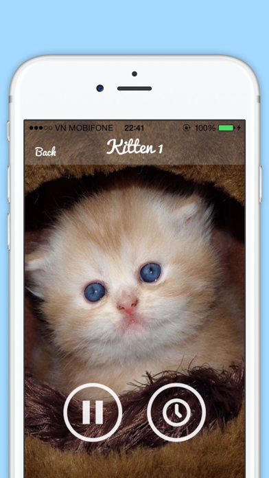 Funny Cat Sounds - Cat Music,Meow Sounds Screenshots
