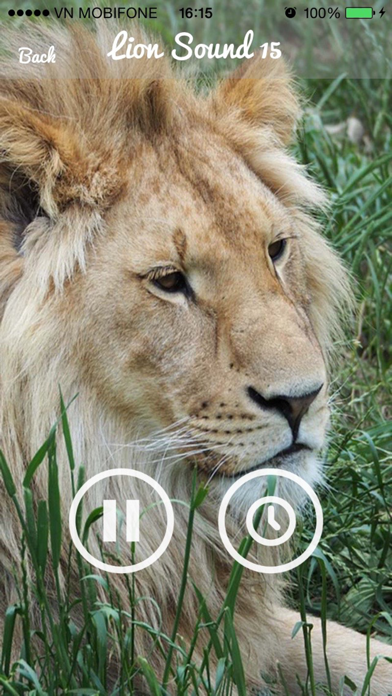 Lion Sounds - Lion Roaring, Lion Music Screenshots