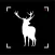 Hunting Camera