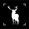 Hunting Camera