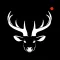 TrailCam Wifi
