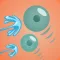 Rise of Slimes:Squishy Shooter
