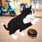 My Kitty Cat Explore City Life