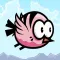 Coco Bird