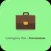 Contingency Plan-Professional