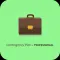 Contingency Plan-Professional