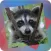 Déjà Vu - Raccoons