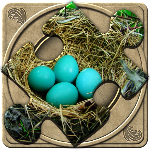 FlipPix Jigsaw - Nesting FlipPix Jigsaw - Nesting