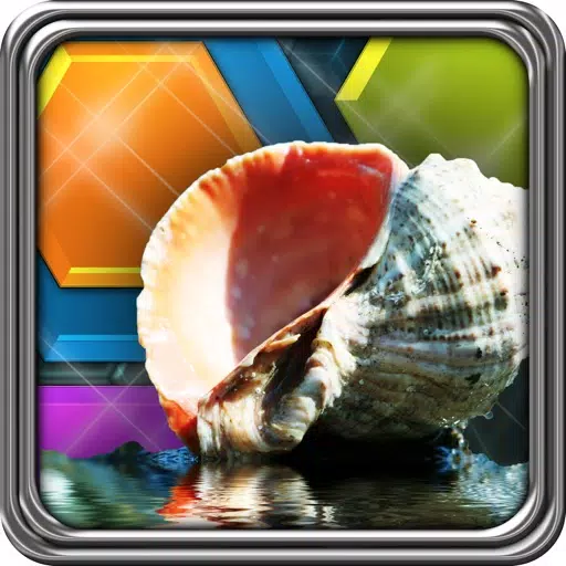 HexLogic - Seashells HexLogic - Seashells