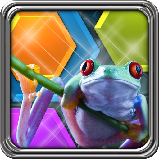 HexLogic - Zoo HexLogic - Zoo
