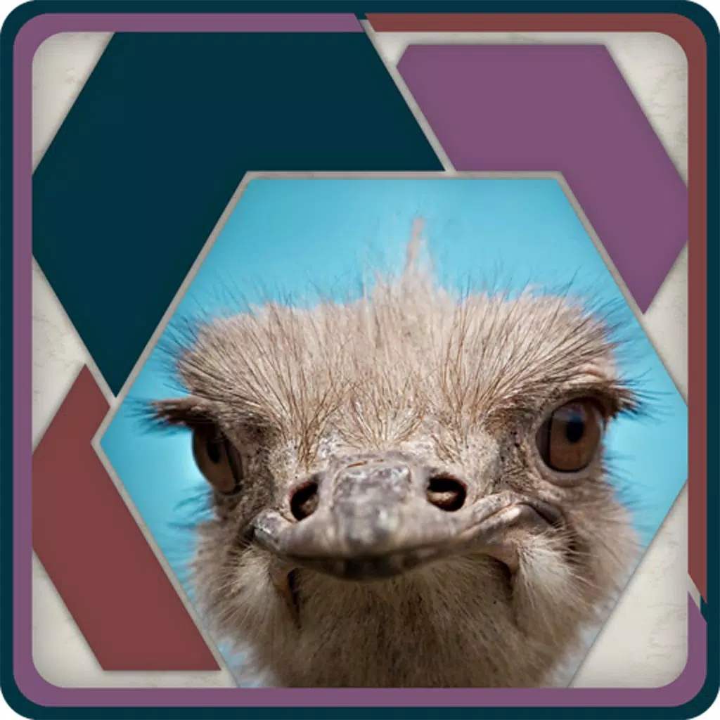 HexSaw - Faces HexSaw - Faces