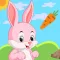 Bunny Food