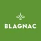 Centre commercial Blagnac