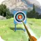 Super Archer Shoot