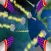 Asteroid Earth Defender Pro