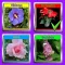 The Garden Quiz: Flowers